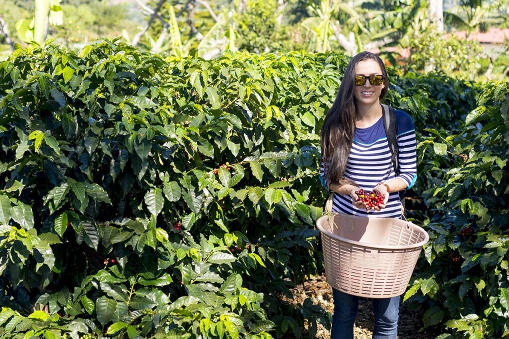 Los 5 destinos del mundo para los amantes del café